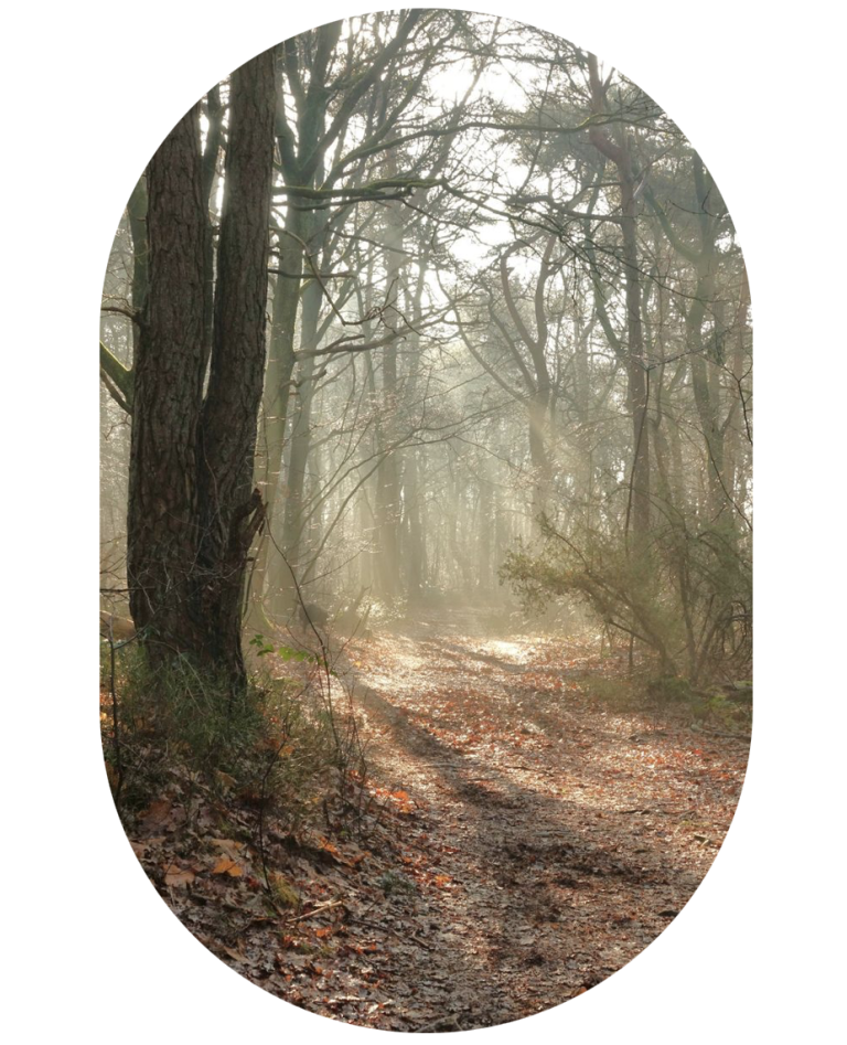 Het licht in jezelf terugvinden