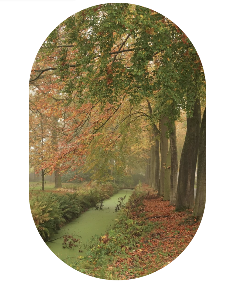 Voor wie is coaching in de natuur geschikt?